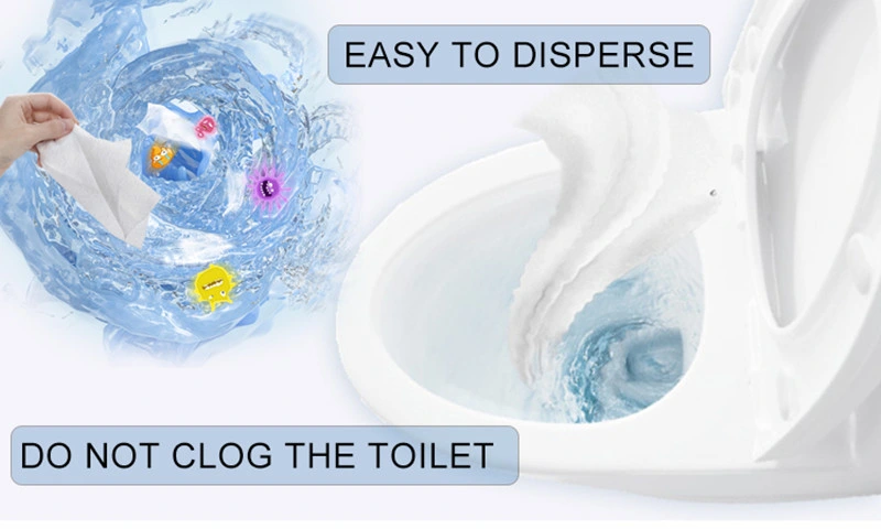 Portable 10 PCS Custom Non Woven Material Biodegradable Personal Toilet Flushable Wet Wipe
