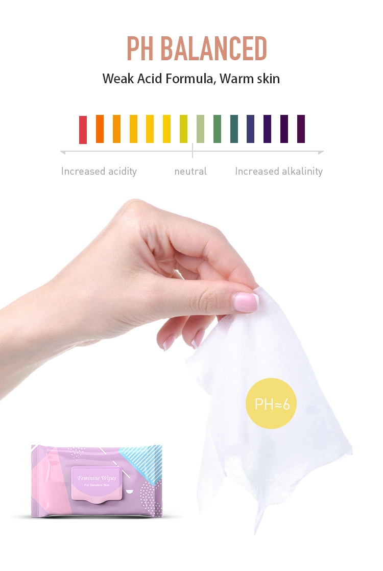 OEM Biodegradable Water Intimate Body Care Wipes for Women Adult Toilet Flushable